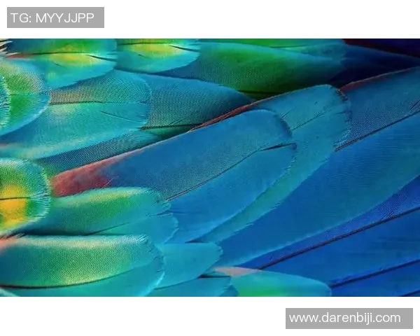 像倒水般流畅的控球艺术从水流之韵看足球球星的灵动之美